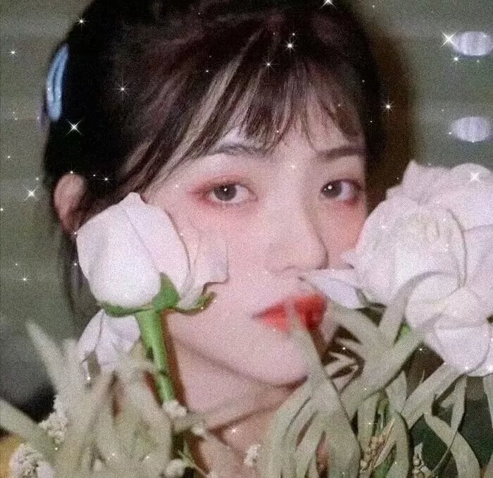 黑社会的墓场:腐朽之花