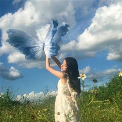 沙漠活宝