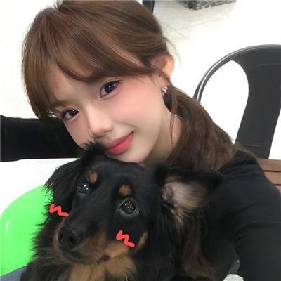 折翼鸟